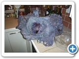 Red cabbage