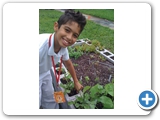 School garden - students get involved!