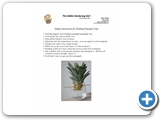 Simple instructions for planting pineapples